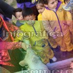 image img_0779-jpg