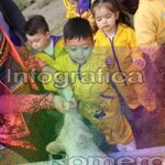 image img_0780-jpg
