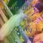 image img_0789-jpg