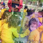 image img_0793-jpg