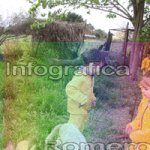 image img_0795-jpg