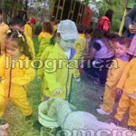 image img_0798-jpg