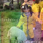 image img_0799-jpg
