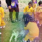 image img_0804-jpg