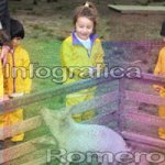 image img_6034-jpg