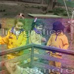 image img_6036-jpg