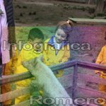 image img_6037-jpg