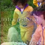 image img_6060-jpg