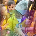 image img_0840-jpg