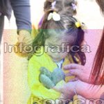image img_0843-jpg