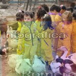 image img_0870-jpg