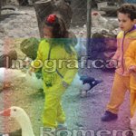 image img_0872-jpg