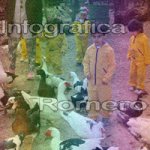 image img_0885-jpg