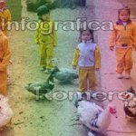 image img_0886-jpg