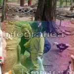 image img_0891-jpg