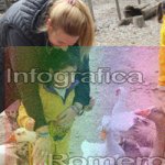 image img_0901-jpg