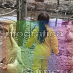 image img_0908-jpg