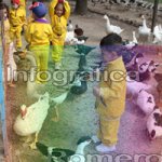 image img_0910-jpg