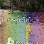 image img_0911-jpg