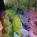 image img_0913-jpg