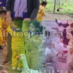 image img_0916-jpg