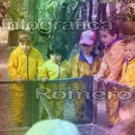 image img_5943-jpg