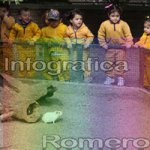 image img_5946-jpg