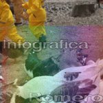 image img_6065-jpg