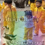 image img_6067-jpg