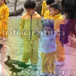 image img_6068-jpg