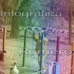 image img_6078-jpg
