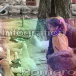 image img_6081-jpg