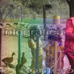 image img_6083-jpg
