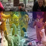 image img_6094-jpg