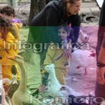 image img_6095-jpg