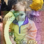 image img_6110-jpg