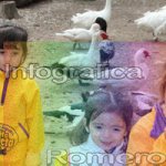 image img_6116-jpg