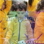 image img_6133-jpg
