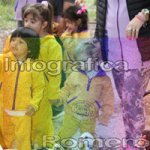 image img_6142-jpg