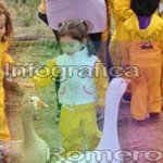 image img_6147-jpg
