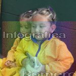 image img_1009-jpg