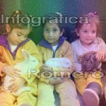 image img_1012-jpg
