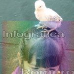 image img_1029-jpg