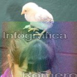 image img_1030-jpg