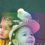 image img_1035-jpg