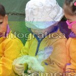 image img_1051-jpg