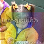 image img_1071-jpg