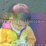 image img_1075-jpg