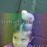 image img_1092-jpg
