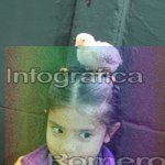 image img_1093-jpg